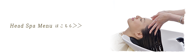 ヘッドスパメニューはこちら